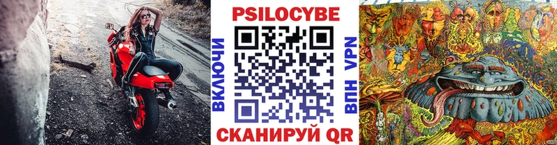Галлюциногенные грибы Psilocybe  где купить   Сортавала 